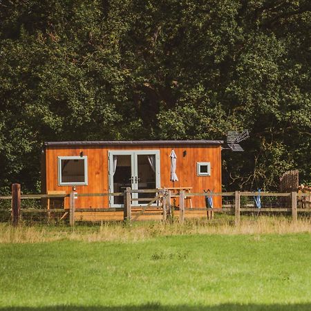 Hotel The Hideaway At Hiddenwood Glamping Corsley Zewnętrze zdjęcie